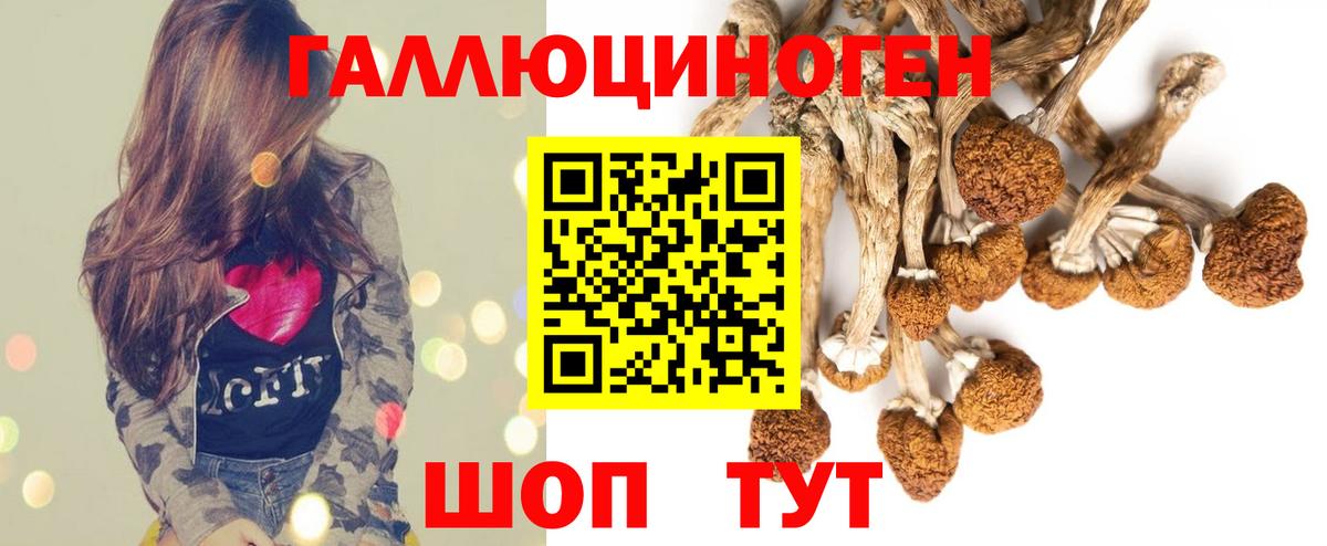 Галлюциногенные грибы Cubensis Москва